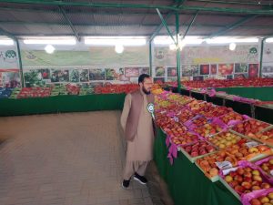 Sibi Exhibition Fruit Stall