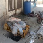 WhatsApp Image 2023-03-10 at 15.05.39