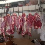 WhatsApp Image 2023-03-10 at 15.05.41 (1)