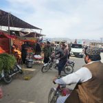 WhatsApp Image 2023-03-27 at 16.32.43