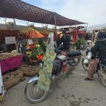 WhatsApp Image 2023-03-27 at 16.32.44 (1)