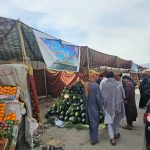 WhatsApp Image 2023-03-27 at 16.32.44