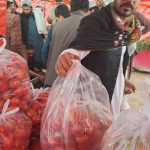 WhatsApp Image 2023-03-27 at 17.07.57