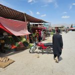 WhatsApp Image 2023-03-28 at 13.11.37 (1)