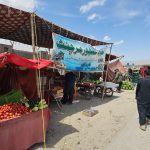 WhatsApp Image 2023-03-28 at 13.11.39 (1)