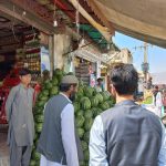 WhatsApp Image 2023-04-10 at 19.55.24