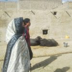 WhatsApp Image 2023-04-10 at 20.38.22